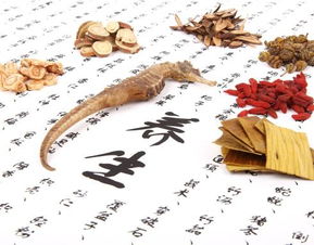 传统饮食养生与艾益堂 传承千年智慧的现代养生指南