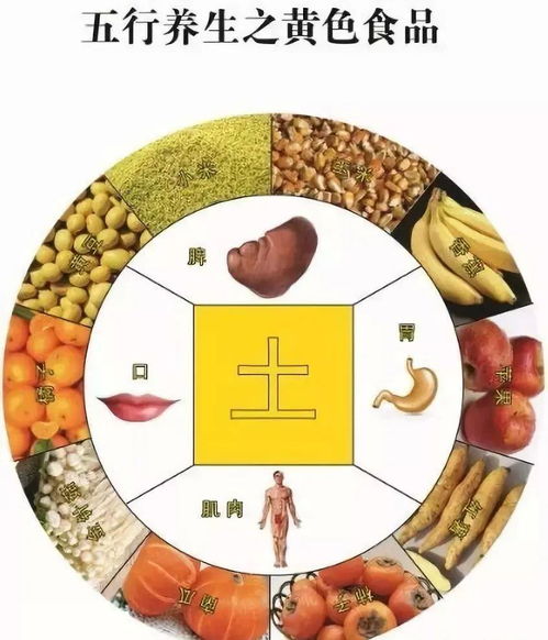 《黄帝内经》中的五行四季养生与五色食品保健方法探析